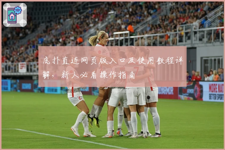 虎扑直连网页版入口及使用教程详解,新人必看操作指南